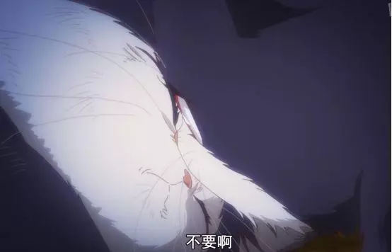 新番《同居人是貓》:一日養貓,終身想貓,你別騙我當個貓奴啊