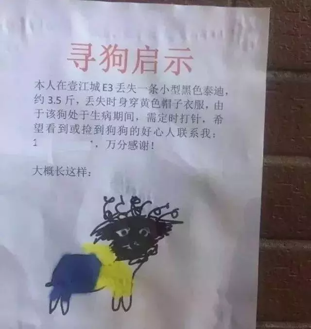 主人PO「抽象派手繪」尋狗　本尊一出現讓大家笑翻：畫得真好