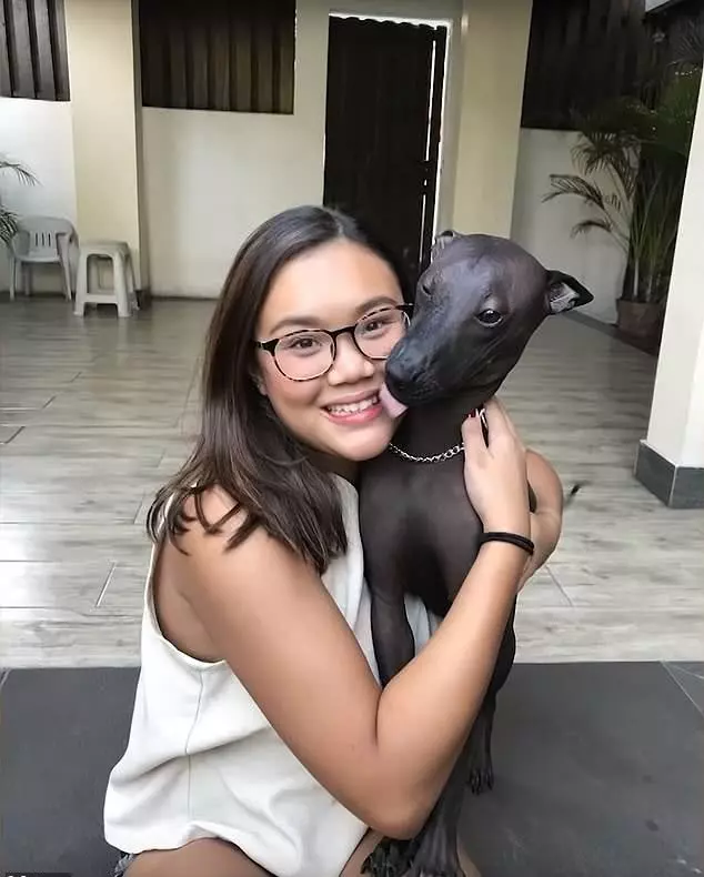 一張狗狗照片讓上萬網友頭腦錯亂 大家都在問:是真狗還是雕塑? - 寵物星人的秘密基地