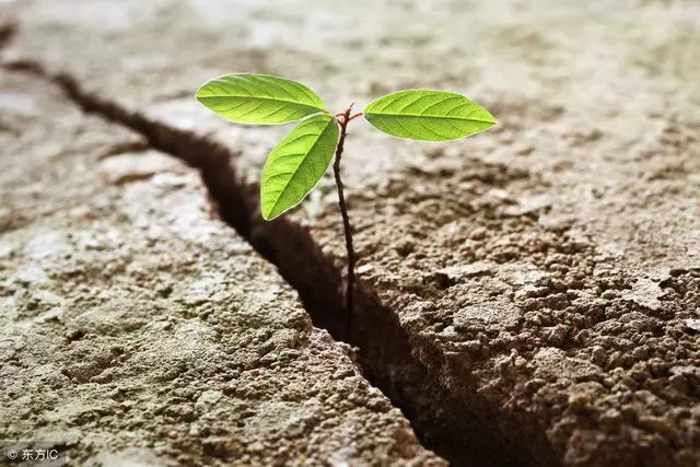 2019年必火的17句正能量,送給一直迷茫的你