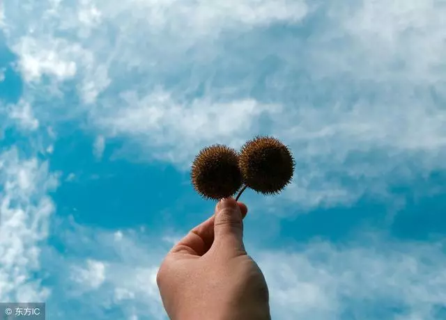 2019年必火的17句正能量,送給一直迷茫的你