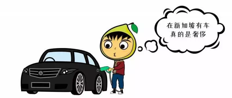 在新加坡,2019年最受歡迎的就業崗位是哪些?