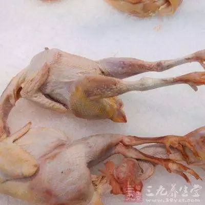 雞的這3個部位有毒,千萬不要吃到