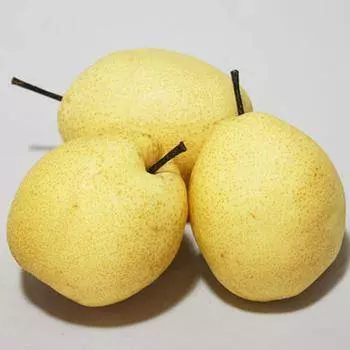 把它蒸一下,孩子咳嗽治好了!效果非常好!