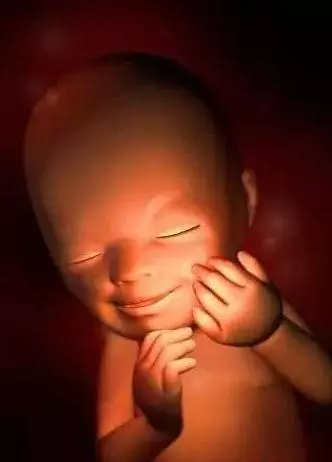 懷胎十月,胎寶寶都在媽媽肚子裡幹嘛呢?跟你說,超忙!
