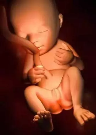 懷胎十月,胎寶寶都在媽媽肚子裡幹嘛呢?跟你說,超忙!