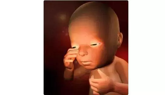 懷胎十月,胎寶寶都在媽媽肚子裡幹嘛呢?跟你說,超忙!