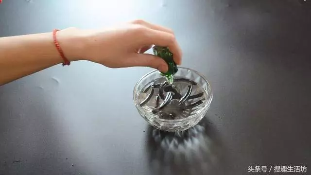 蚊香放在水裡泡一泡,沒想到作用這麼大,解決了家家戶戶的困擾