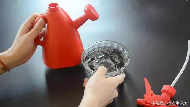 蚊香放在水裡泡一泡,沒想到作用這麼大,解決了家家戶戶的困擾