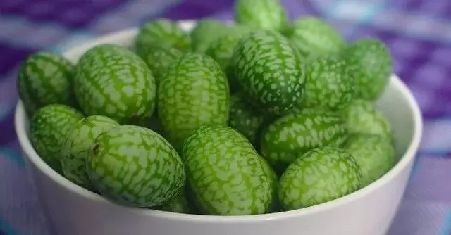 南美奇葩水果圖鑑,看起來超美味!