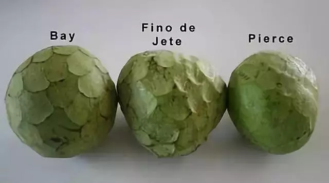 南美奇葩水果圖鑑,看起來超美味!