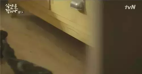 春節大掃除!這些必備小竅門,讓你2個小時就全部打掃好!