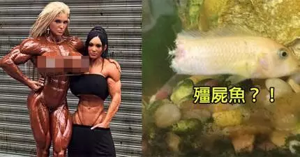 這21張奇特照片的會讓你看完後可能覺得頭暈腦脹需要去寺廟「收驚」!