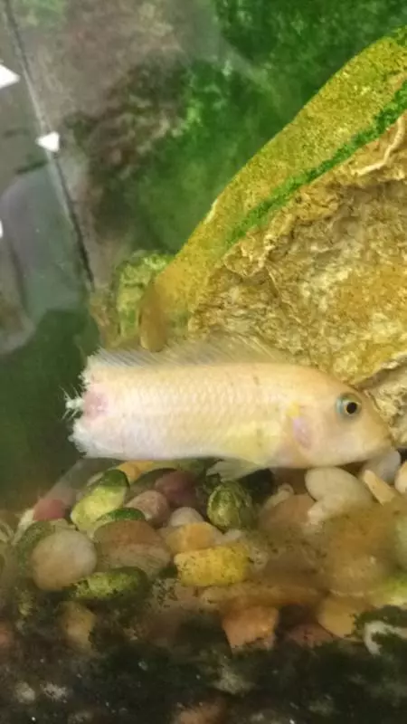 這21張奇特照片的會讓你看完後可能覺得頭暈腦脹需要去寺廟「收驚」!