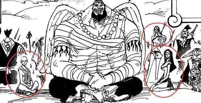 海賊王930話:King居然是無齒翼龍,大媽和將軍曾是夫妻?
