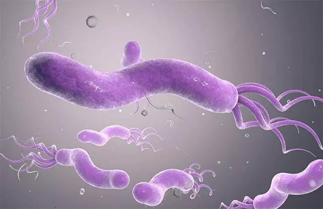 經常便秘怎麼辦 牢記多吃3物 多做2事 排出濕氣,還能預防口臭