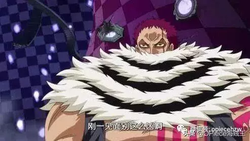 《海賊王》人氣飆升的卡二,一個把家人放在第一位的真男人!