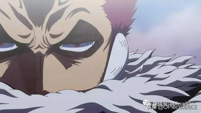 《海賊王》人氣飆升的卡二,一個把家人放在第一位的真男人!