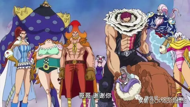 《海賊王》人氣飆升的卡二,一個把家人放在第一位的真男人!
