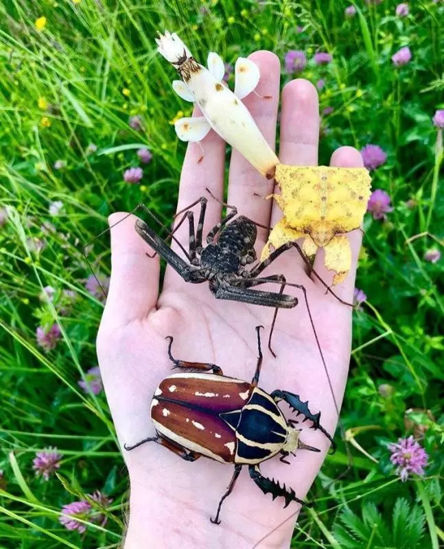 25張證明「你的眼界其實很狹窄」的震撼驚奇照 森林透明屋美得太夢幻!~~1. 身邊沒有出過國的朋友都會笑言