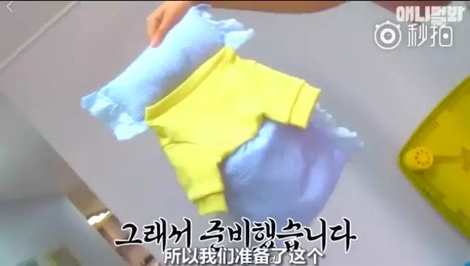 狗狗把自己當人類最愛躺平睡 主人擔心求醫...「治療方式」萌翻了
