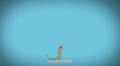 3分鐘,看透全宇宙最著名的外星人