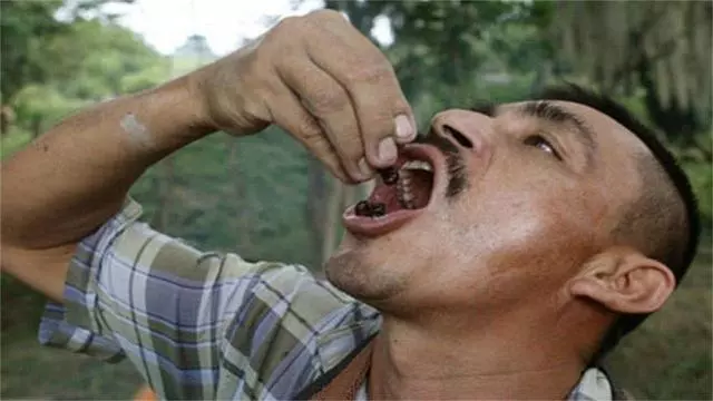 以螞蟻為食的國家:就像吃花生米一樣,價格卻是咖啡的十倍