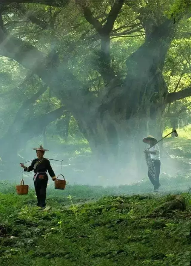 請活好,你的下半輩子(好文)
