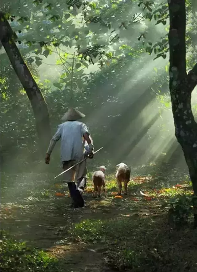 請活好,你的下半輩子(好文)