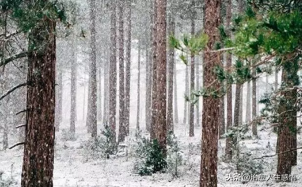 做人,彆強求,別將就!(深刻)