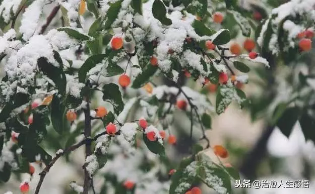 做人,彆強求,別將就!(深刻)