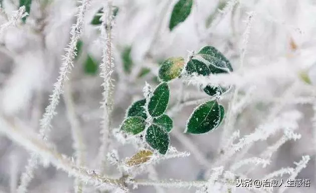 做人,彆強求,別將就!(深刻)
