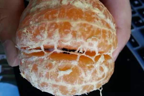 橘子上的白絲能去火?它到底是什麼?