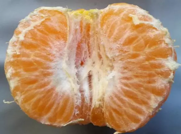 橘子上的白絲能去火?它到底是什麼?