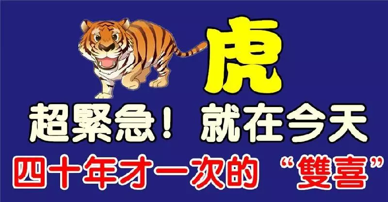 你身邊有沒有一個屬虎的人?四十年才一次的「雙喜」!好運砸在你頭上