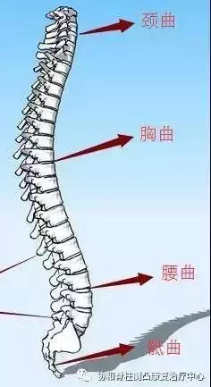 抬頭挺胸竟然不是最正確的姿勢?!協和醫生教您「坐姿五步曲」!