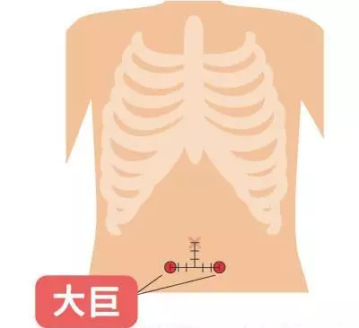 2穴道貼硬幣竟能改善消化治便秘!老中醫解答了