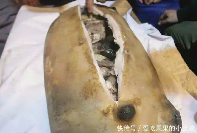 川藏線上的「大口袋」切開後傻眼,石頭就占了一大半,1200值嗎?