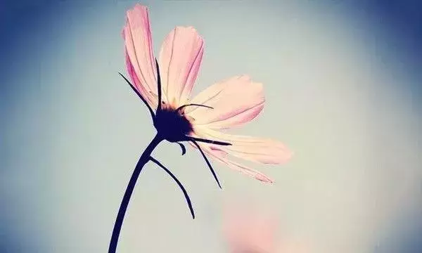 這段話,送給心中有委屈,卻不能訴說的人
