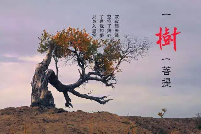 醫院的三句話,銀行的三句話,專家的三句話,不看後悔!