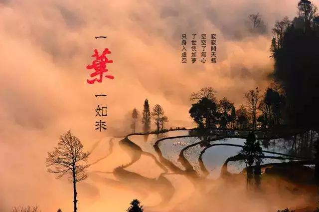 醫院的三句話,銀行的三句話,專家的三句話,不看後悔!