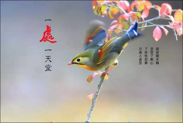醫院的三句話,銀行的三句話,專家的三句話,不看後悔!