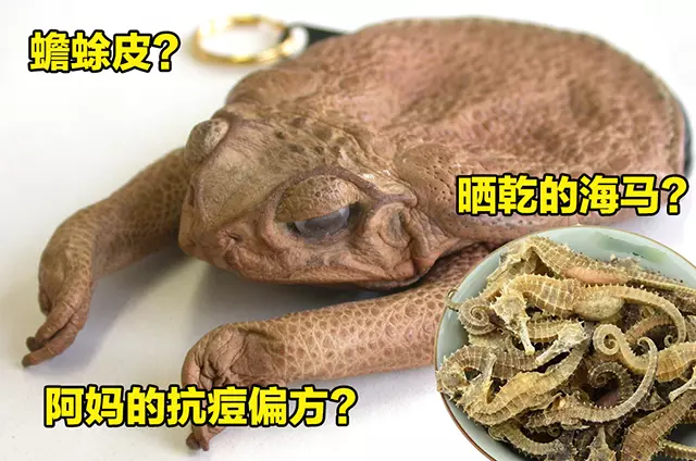 「痘」花臉醫治5步驟!還在為臉上的痘痘感到困擾?這5個步驟保證你變化為男神、女神!