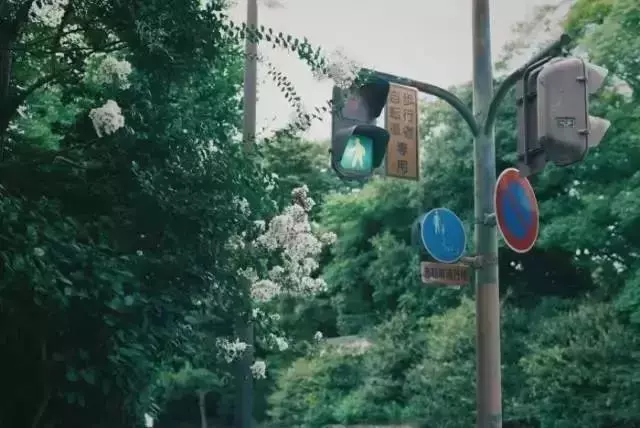 相處時,要用心,相遇了,就珍惜