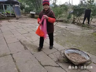 婆婆去世,7歲孫女非睡遺體旁,兒媳起疑躲床下,天亮後含淚報警