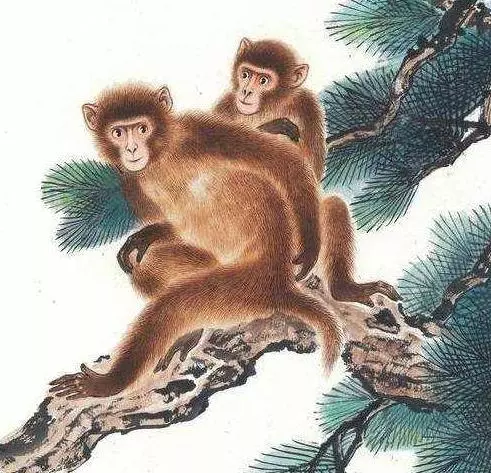 2019年有四大生肖犯太歲,我們該怎麼化解?