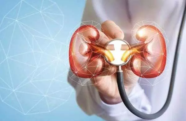 「長期吃西藥會傷腎?」釐清以下5大迷思,避免終身洗腎!
