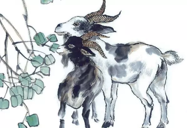2019最有「貴人運」的四生肖,飛黃騰達財源滾滾