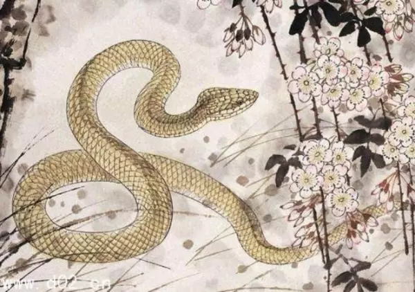四生肖2019犯太歲,該怎麼化解?
