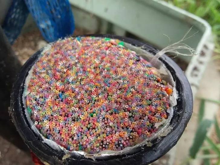 20張「會改變你看待世界的方式」的驚奇事物 懷孕的松鼠媽媽超可愛~